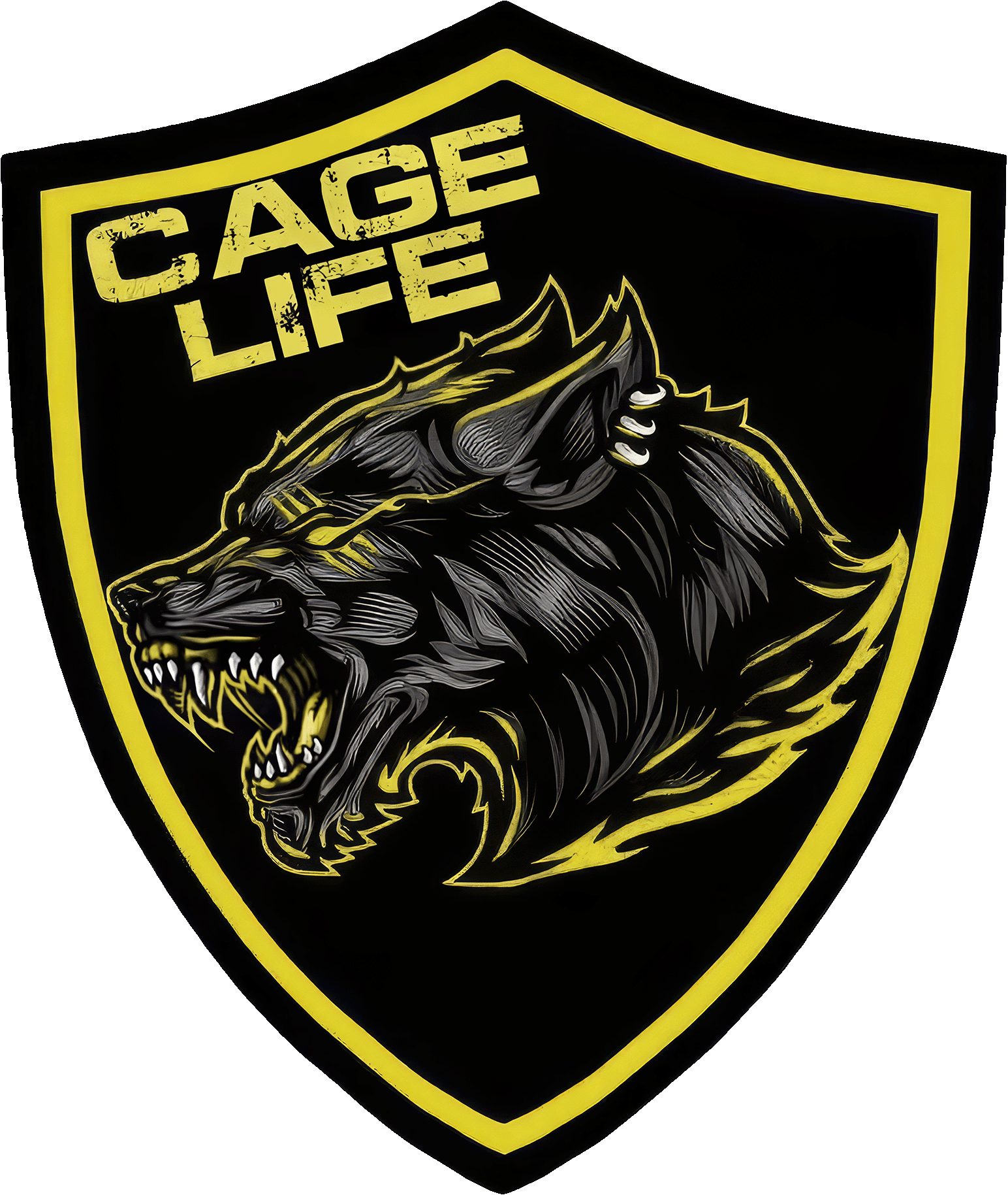 cage-life-3 Championship Wrestling from Florida